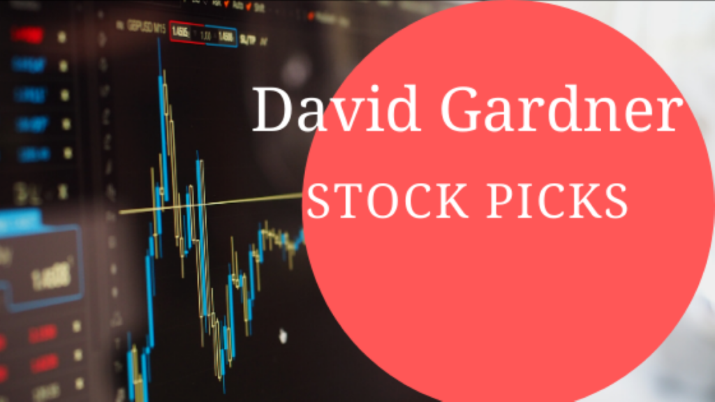 david-gardner-stock-picks